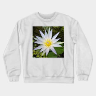 Egyptian Lotus Close Up Crewneck Sweatshirt